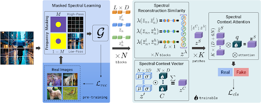 spai_1