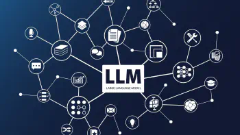 Multimodal LLMs: Fairness and Transparency Concerns